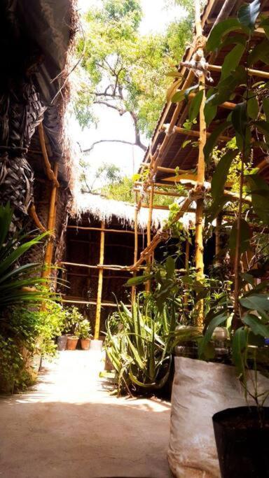 Vila The Vintage House Maisúr Exteriér fotografie